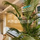 광목기사식당 | 청주 블라인드 금천동 카페 오동나무 우드블라인드 실용적이고 멋스럽게