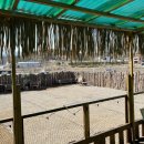 베일리하우스애견펜션 이미지