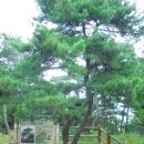 대구 북구 함지산(284.4m)-망일봉(273.6m)-학봉(278.3m)-화담산(204.4m)16년 08월10일 산행 이미지