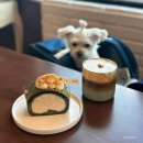 애견시선 | 제주 한림읍 애견동반 디저트 카페 추천 &#34;시선;視線&#34; 내돈내산 후기 | 롤케이크 맛집🍰
