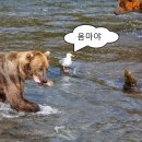 강가에서 이미지