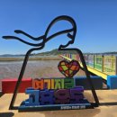 디캠 고흥 이미지