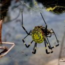 하대2리 이미지