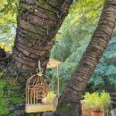 목현동 247-2 이미지