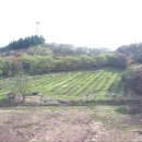 달천펜션 이미지