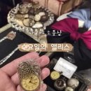 앨리스상점 | 일본 나고야 오스상점가 소품샵 수요일의 앨리스 쇼핑 후기