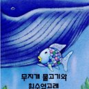 무지개 물고기 이미지