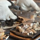 동해곰장어나라 이미지