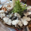 카페 모비딕 과일빙수 / 삼산 달동 정성육회 / 미가네굴국밥 / 프리미엄고속버스 서울 울산 이용 후기