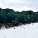 눈꽃새펜션 | 무주 리조트 렌탈샵 유아 무주 스키강습 비용