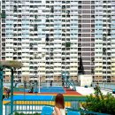 럭키피시 이미지