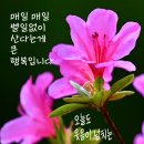 행복가득 이미지