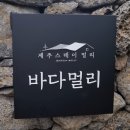 제주스테이 멀리 이미지