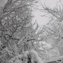 더진짜 휘트니스 이미지