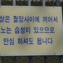 수서동커피집 이미지