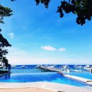 세부에서뭐하지 이미지