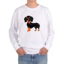 허쉬퍼피 이미지