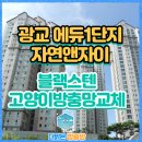 광교에듀타운자이1단지 | 수원시 광교 에듀타운 1단지 자연앤자이 블랙스텐 고양이 방충망 교체