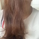 헤어앤젤 | 올영추천템✨탱크앤젤 헤어 브러쉬 내돈후기
