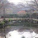 하슬라에코 이미지