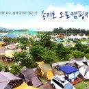 송지호오토캠핑장 이미지