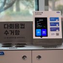 디투
