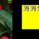 청담더유외과의원 이미지
