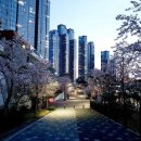 부흥고등학교_동 | <해운대 힐스테이트 위브 아파트>