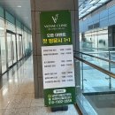 비채 | 가산 두피관리 비채두피탈모센터 다녀온 후기