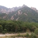 대경떡집