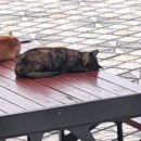 주렴농장 이미지