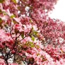 정읍리틀포레스트 이미지
