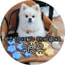 위빙유