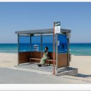 강릉아산병원 버스정류장 이미지