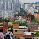 강서구-46 이미지