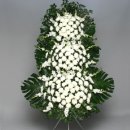 광생약국 이미지