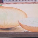 모산정보화마을 이미지