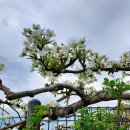 청남농장 이미지