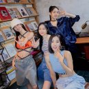 앨리스 핏 이미지