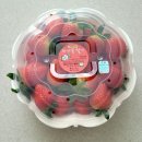 덕산농산물판매장 | (강릉) 하얀꽃딸기, 강보리밥, 테라로사 커피공장