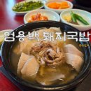 엄용백낙돈 | 엄용백 돼지국밥 수영본점, 맑은 국물에 고기 다양한데 내 입맛엔 좀 애매했던 이유