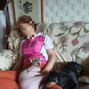 콩이묘묘 이미지