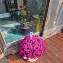 향교골손두부 이미지