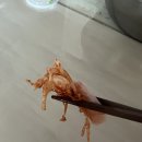 산천수산송어횟집