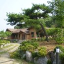 송림원 - 성북구 동소문로 25-2 | 송림원