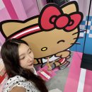 하이존헬스 | 홍대 팝업스토어 올리브영 큐티런 산리오 팝업 추천