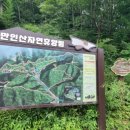힐링(만인산) 이미지
