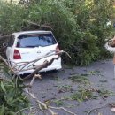 Narrow escape for motorist..이런게 마른하늘의 날벼락!! 이미지