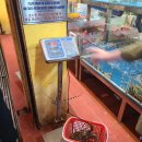Day 4 (안방비치, 라플라주, 롯데마트, INT 다낭플레이 라운지, 한시장, 목식당, 한강유람선, 이베닌스파)