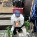 회쳐본점 - 253253 | 인천 용현동횟집 [회쳐] 방어회 포장 후기